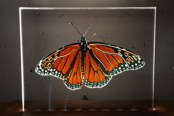 Monarch butterfly light impression lamp